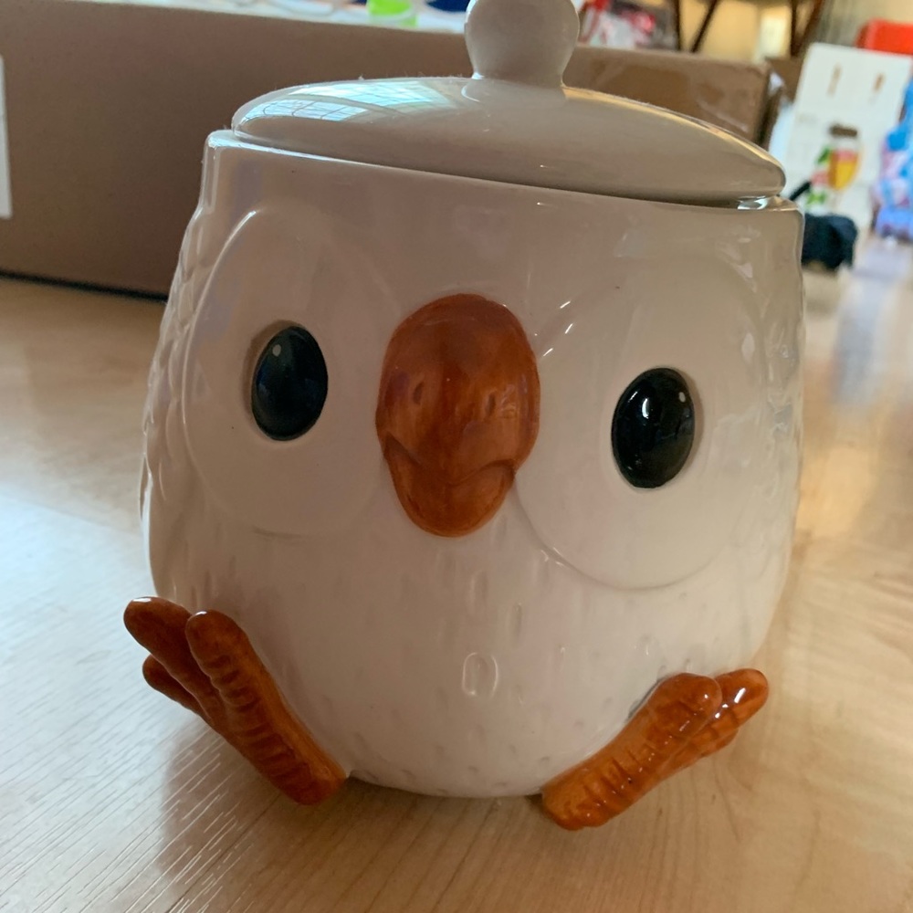Arlington designs white owl small cookie jar